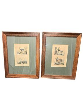 Pair Of Framed Antique Goat Prints With Wooden Frames CM2261